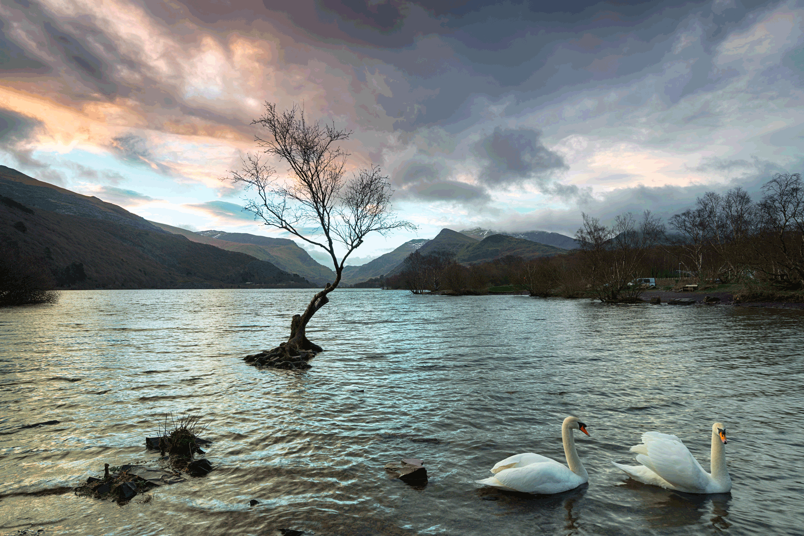 Home Willow Lodge Apartments